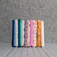 load image into gallery viewer, WISHWELL
